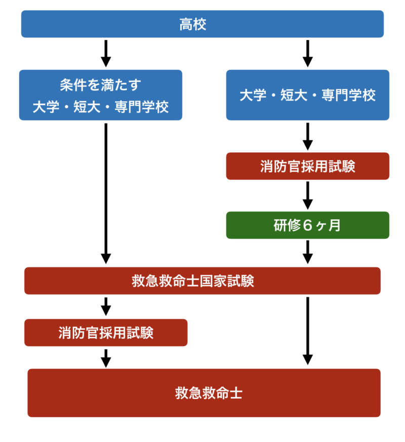 消防士の採用試験に有利なオススメ資格5選 元東京消防庁職員解説 キャンディーブログ